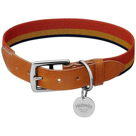 hermes dog breed|hermes dog collars for sale.